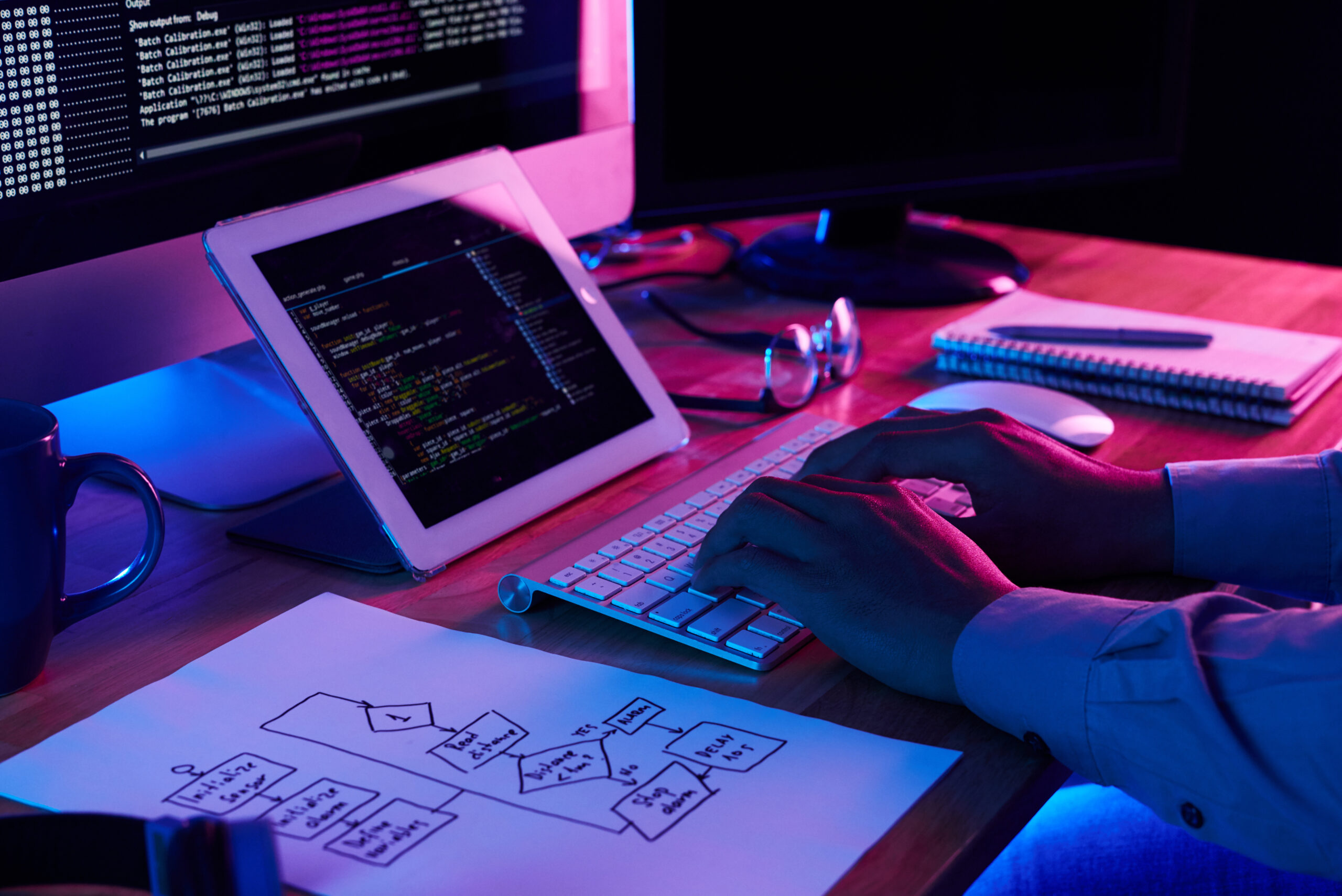 freelance programmer